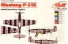 ICM48154