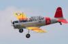 PLA16648
